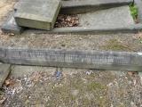 image of grave number 684332